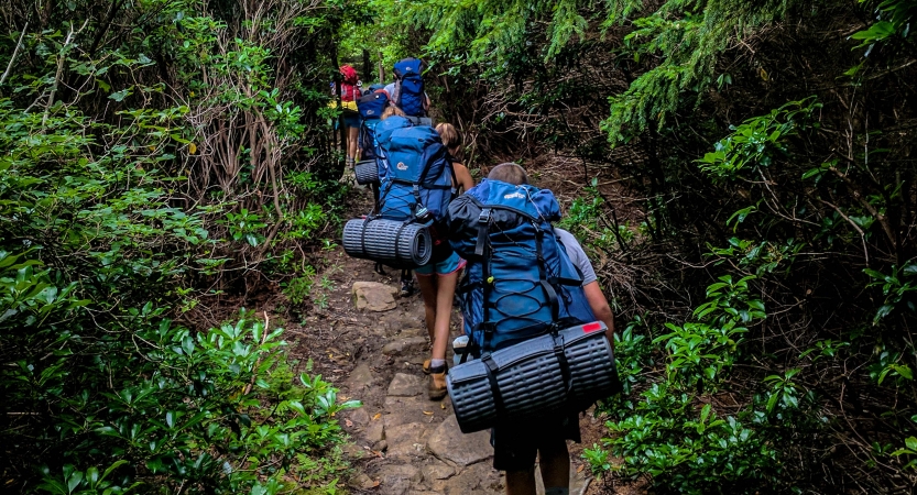 A group of people wearing backpacks hike away from the camera through a densely wooded area. 